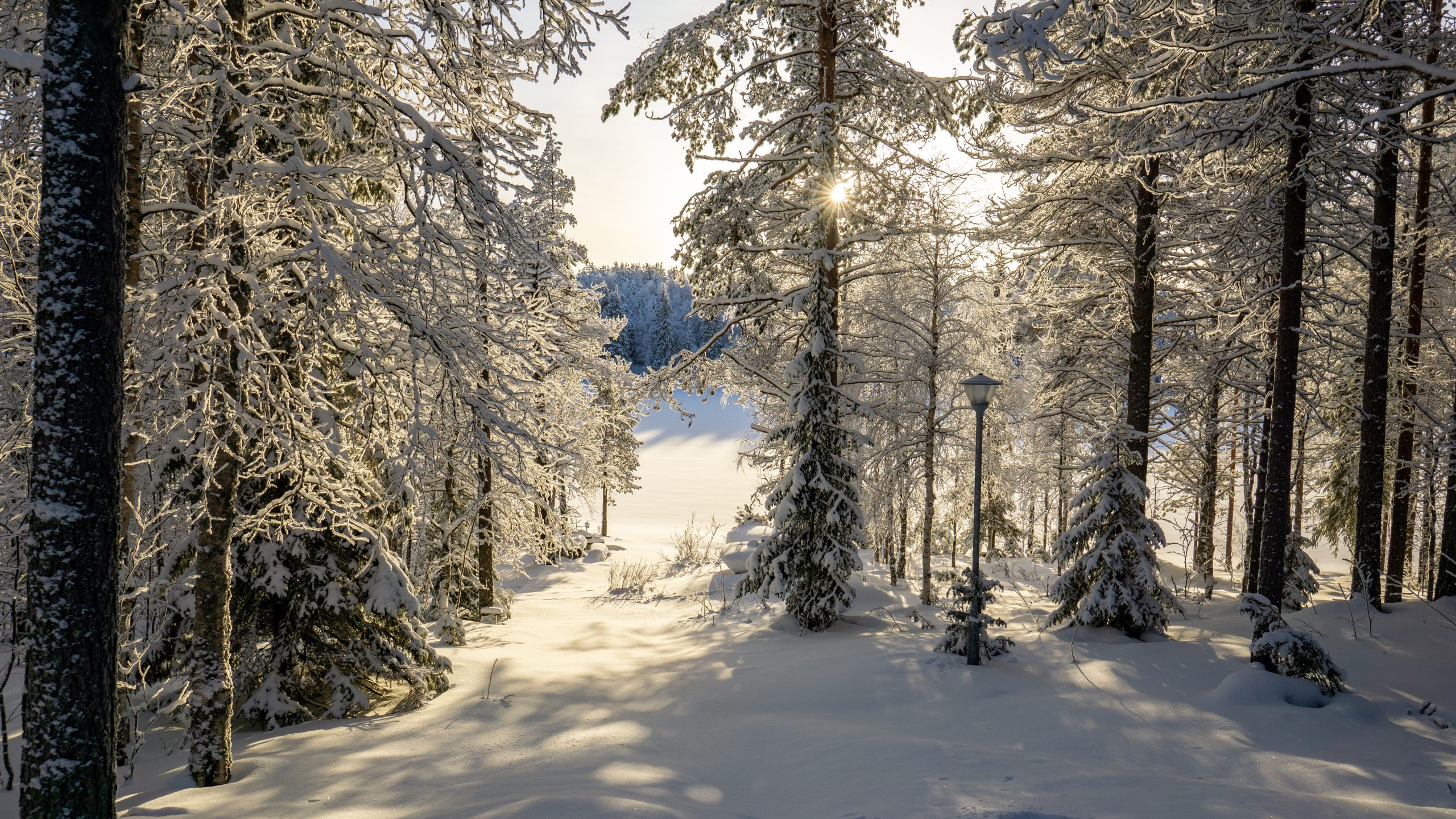 Zima w Finlandii: Kuusamo i Ruka